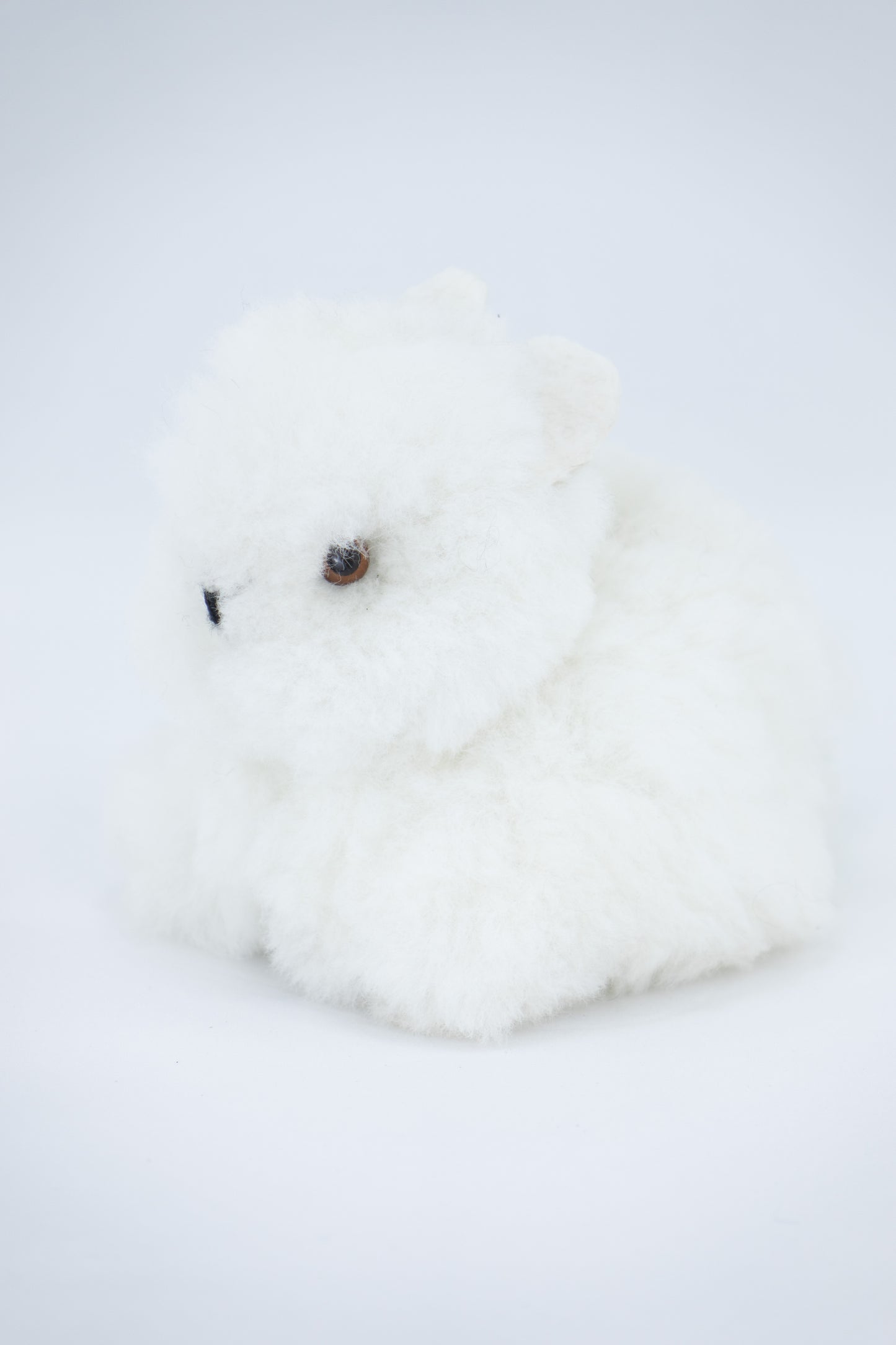 Lapin - alpaga