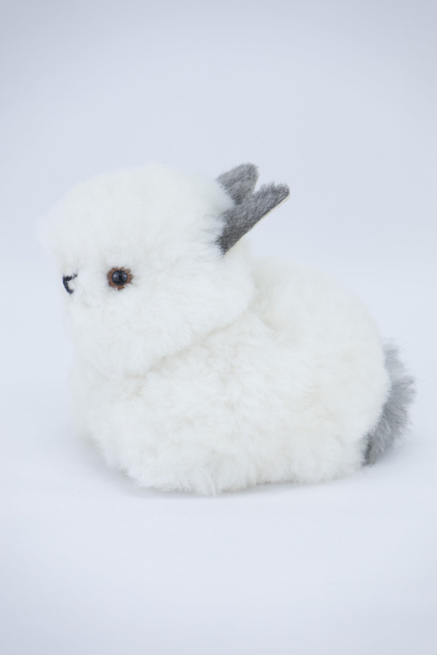 Lapin - alpaga