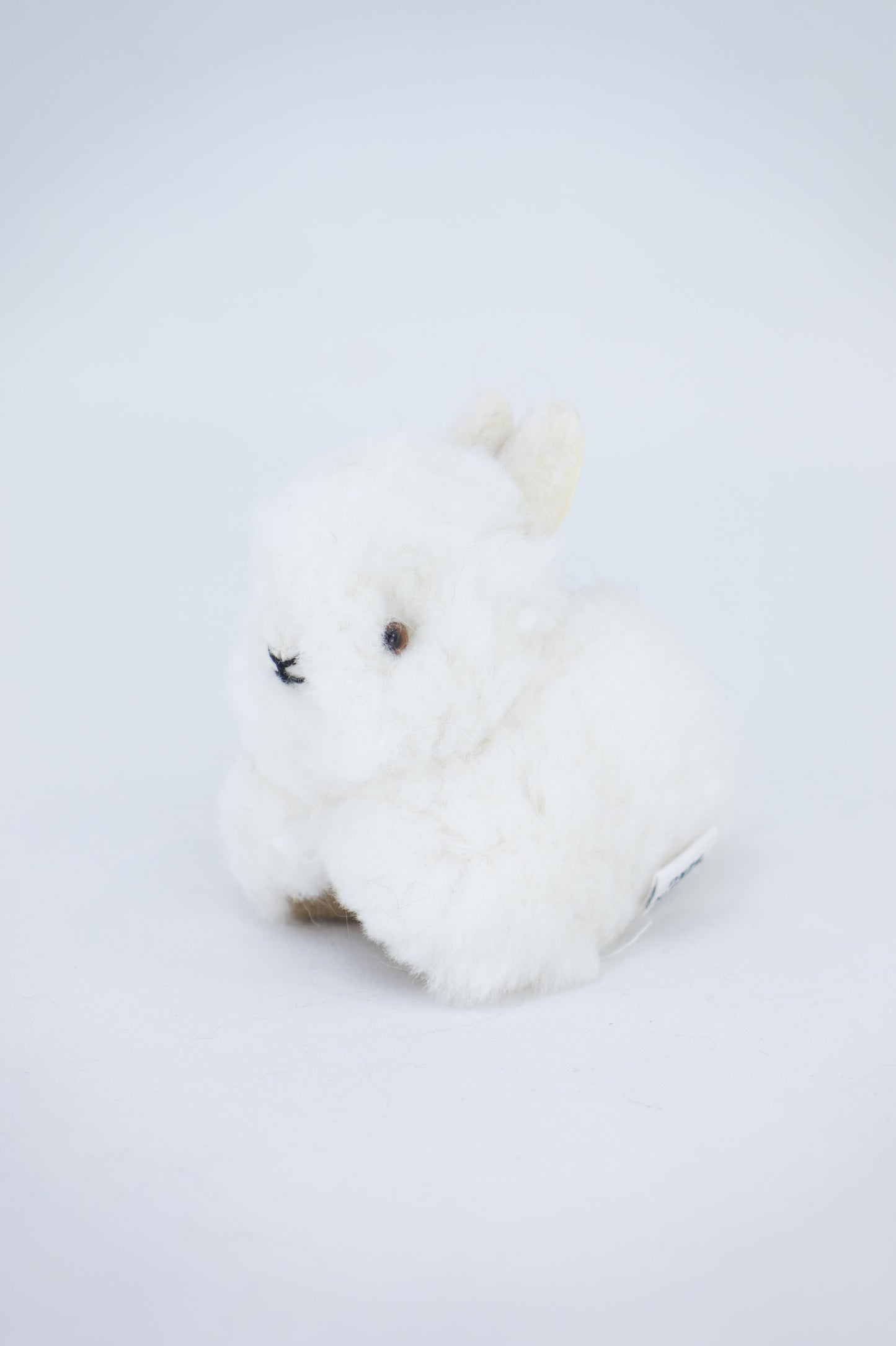 Lapin - alpaga
