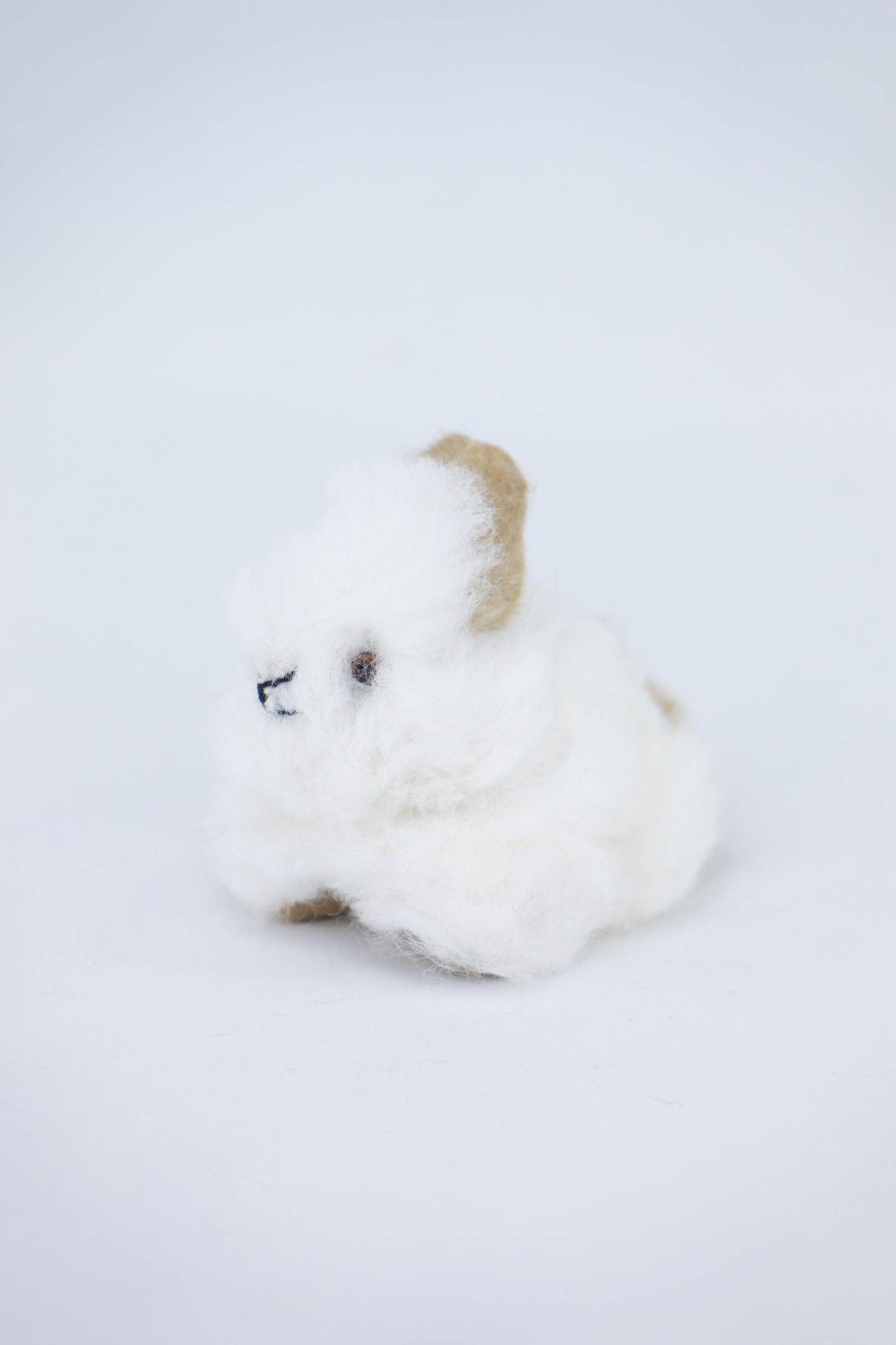 Lapin - alpaga