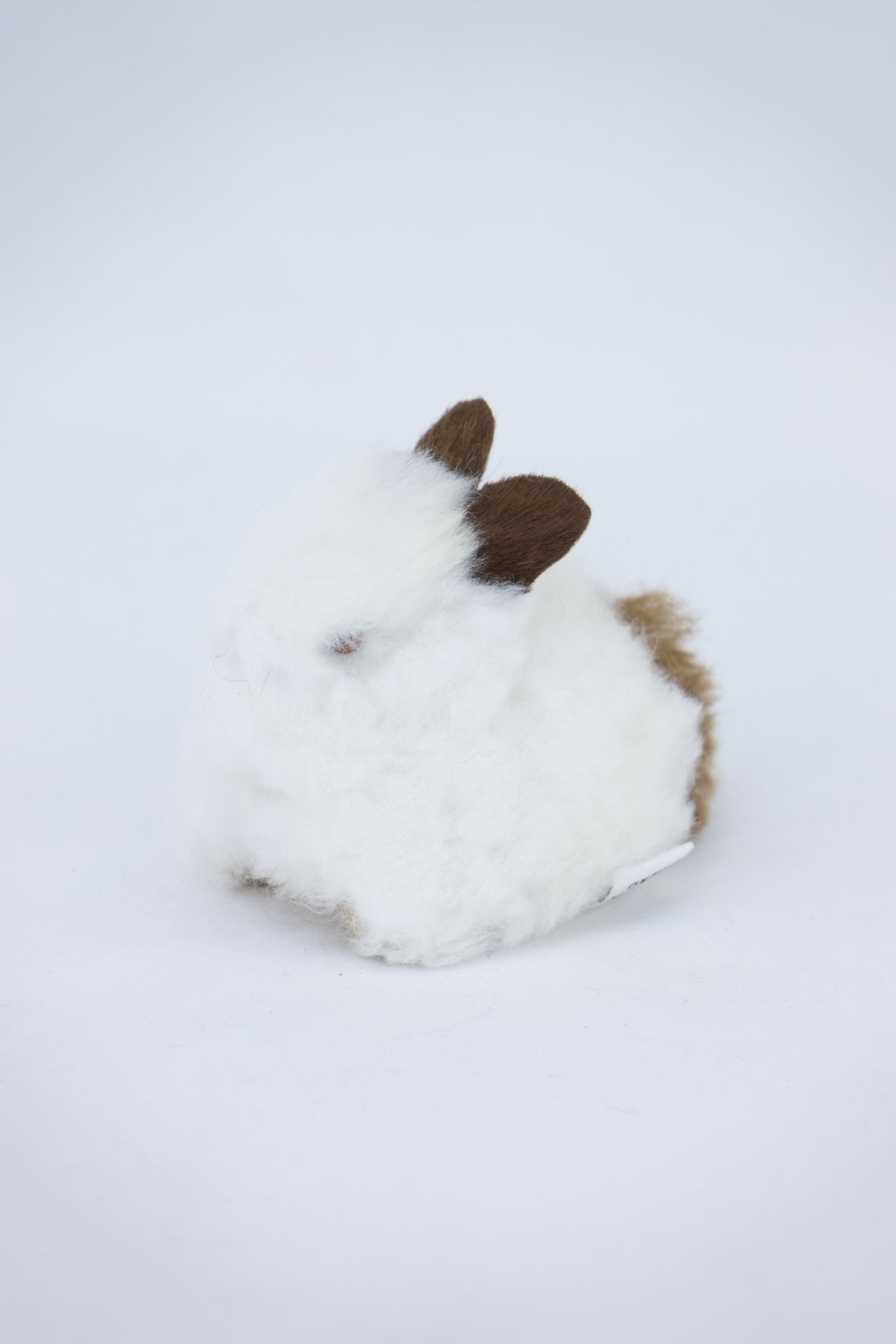 Lapin - alpaga