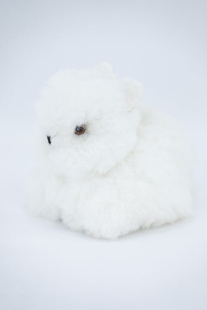 Lapin - alpaga
