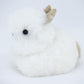 Lapin - alpaga