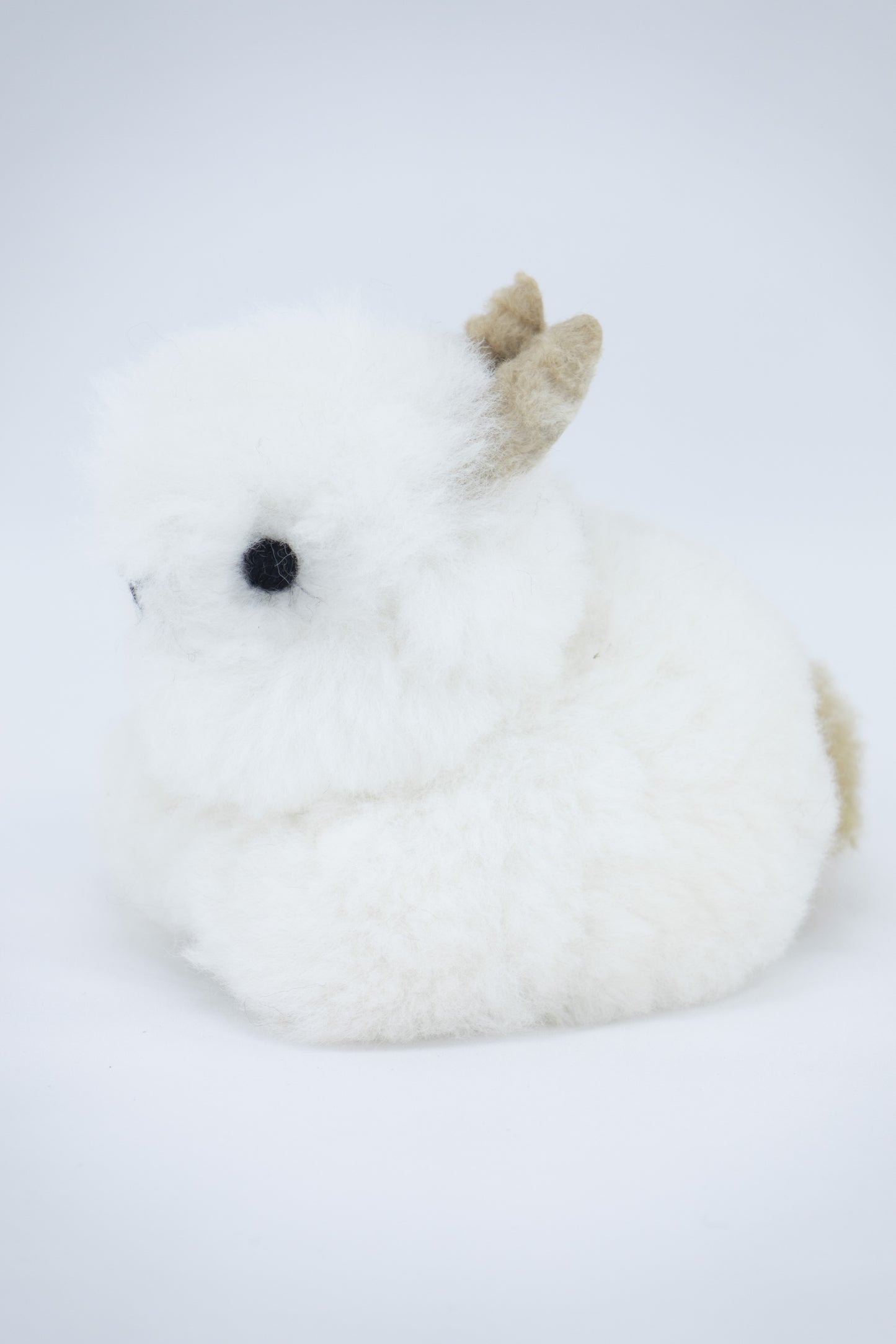 Lapin - alpaga