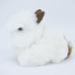 Lapin - alpaga