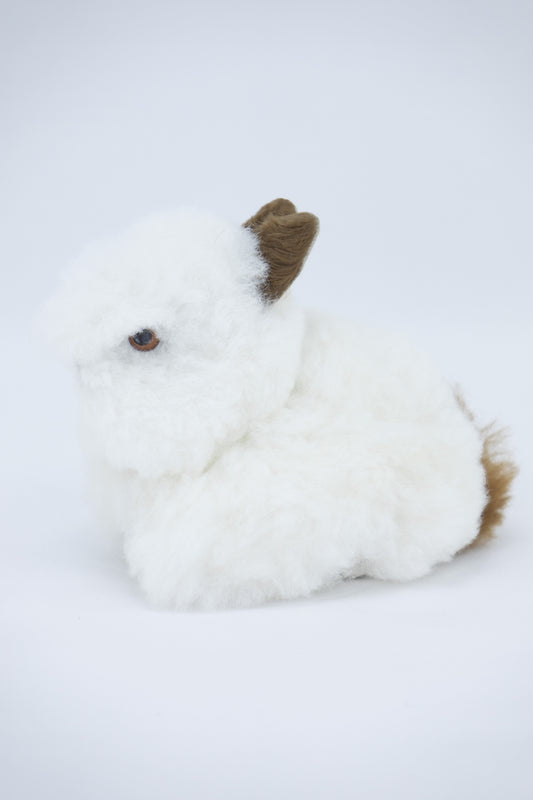 Lapin - alpaga