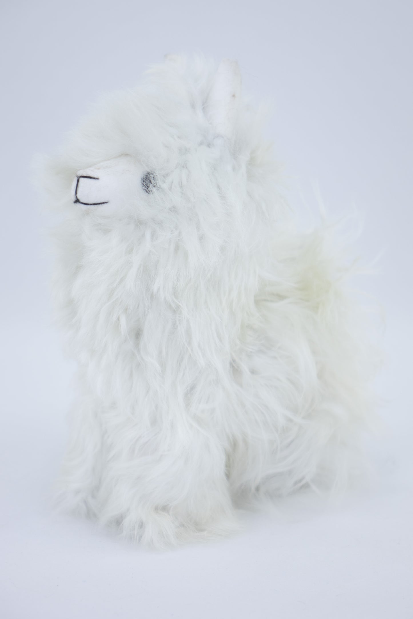 Peluche alpaga Suri