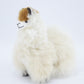 Peluche alpaga Huacaya