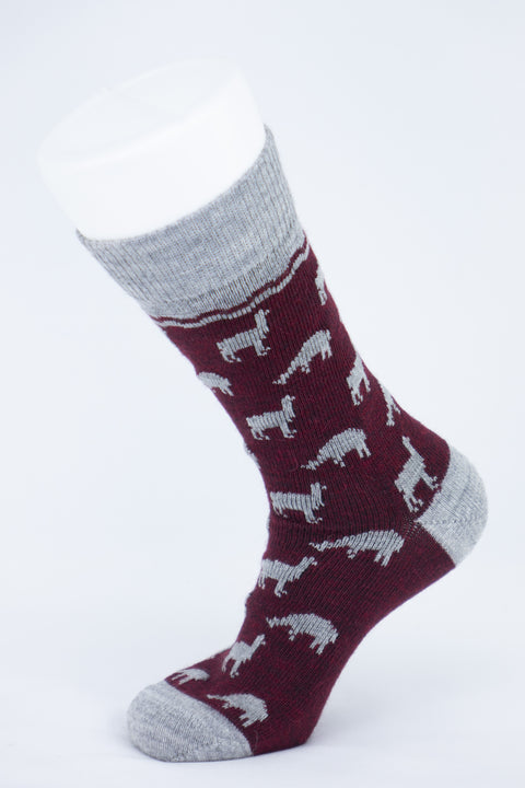 Bas de ville - alpaga