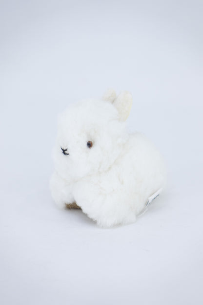 Lapin - alpaga