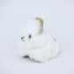 Lapin - alpaga
