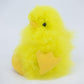 Poussin 12 cm