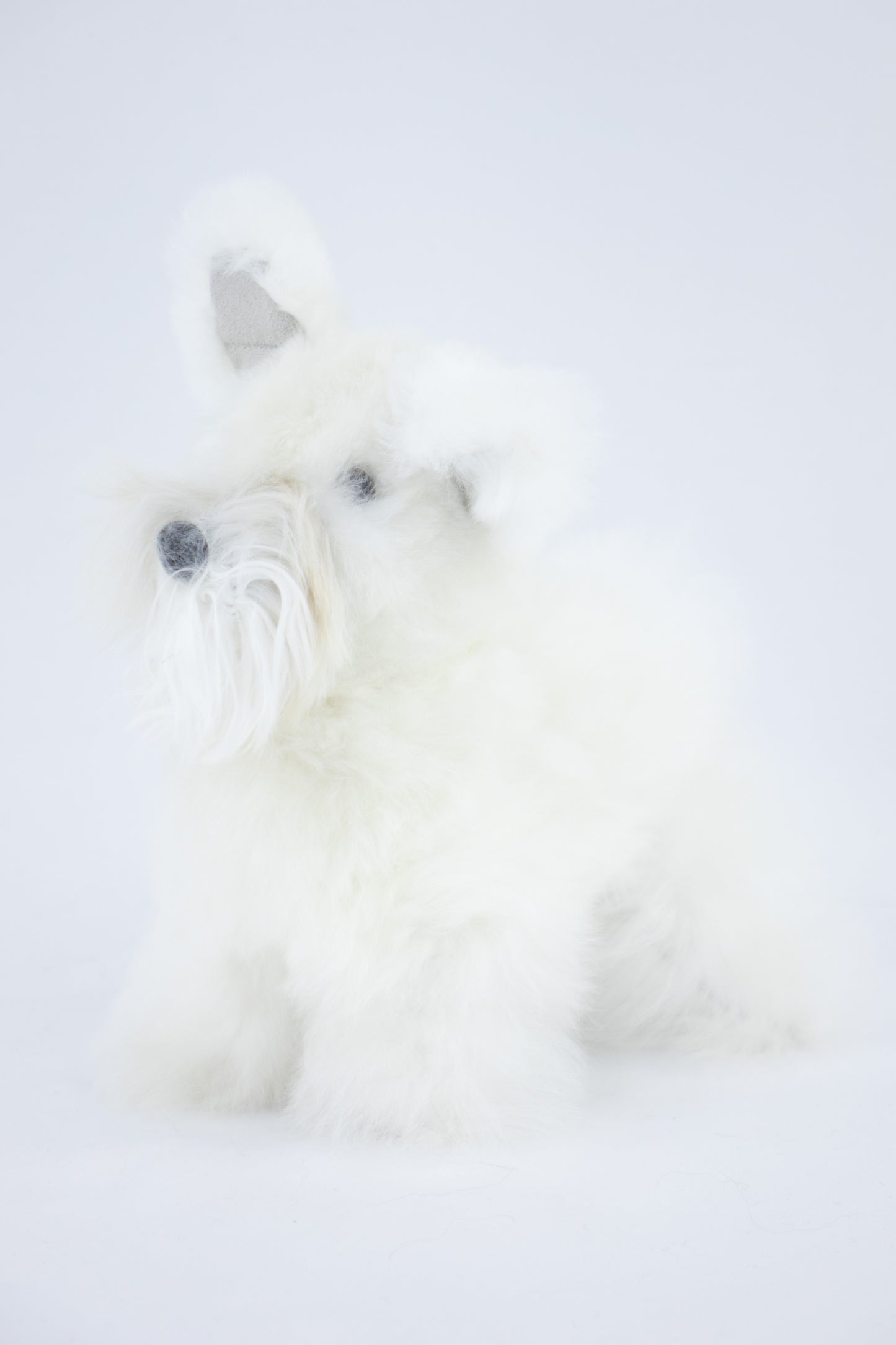 Peluche en alpaga 20 cm