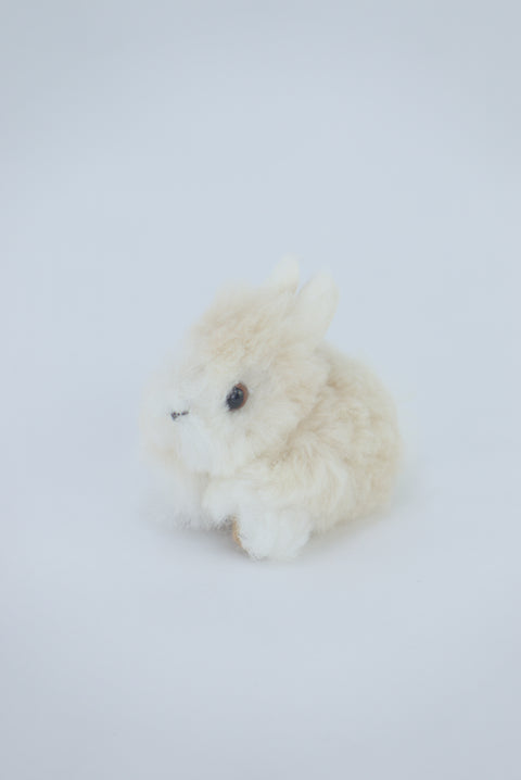 Lapin - alpaga